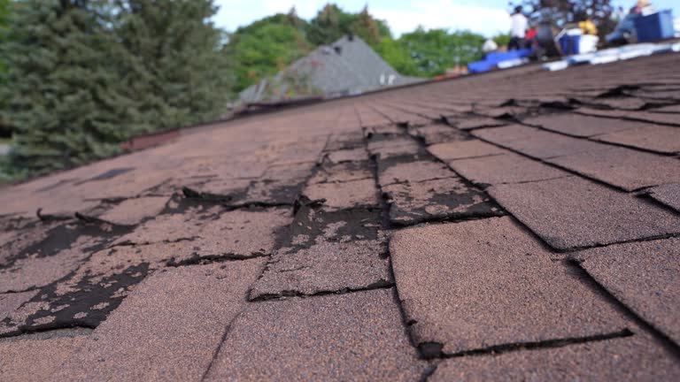 Best Roof Leak Repair  in Filer, ID