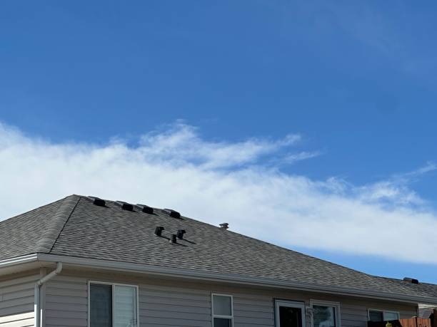 Roof Moss and Algae Removal in Filer, ID